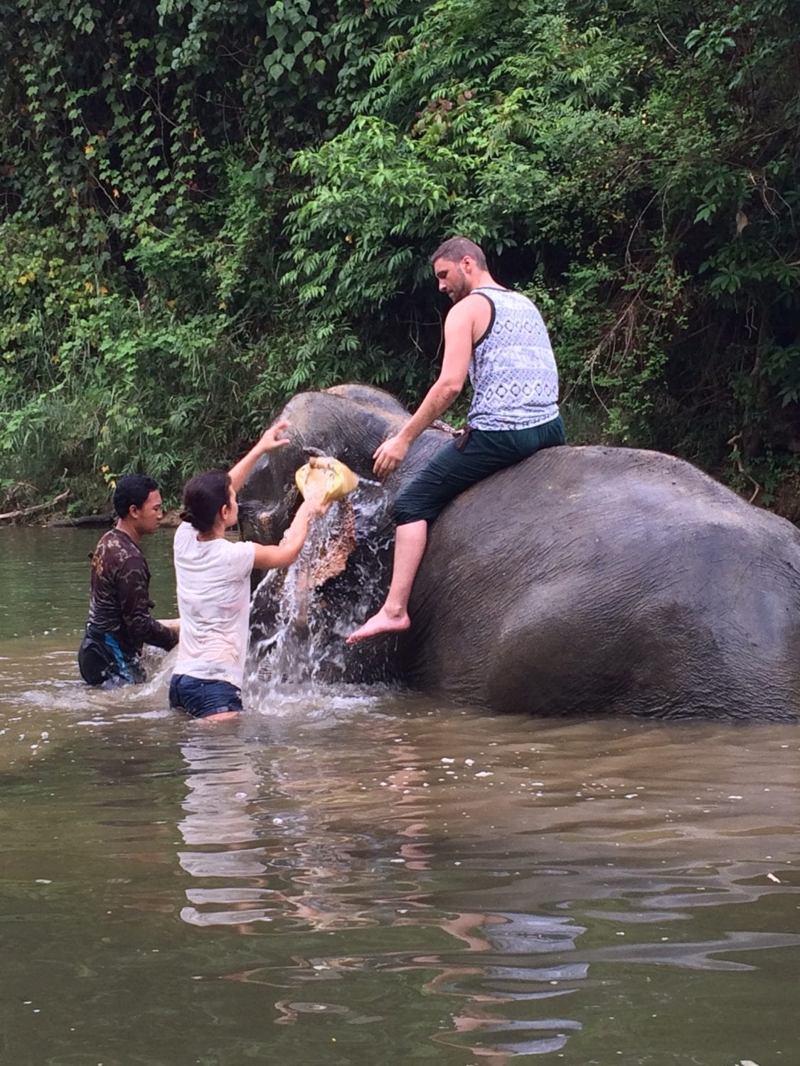 Khao Sok elephant experience