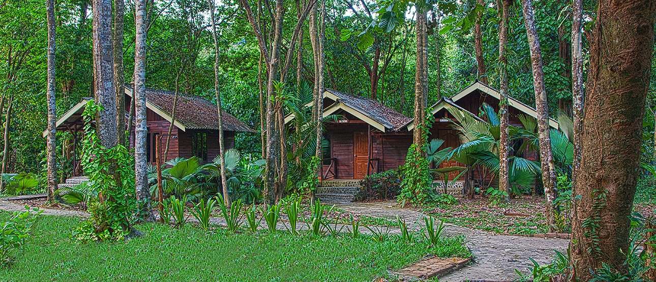 Khao Sok bungalow