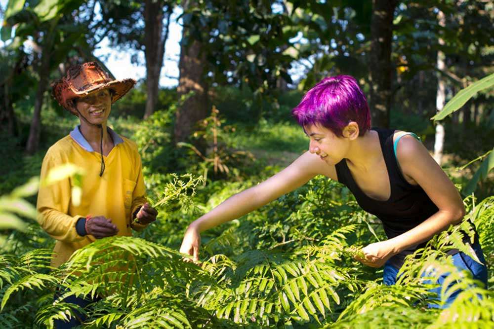 Experience Thai culture Thailand Culture Local Produce