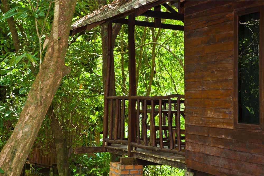 Khao Sok Forest room with balcony