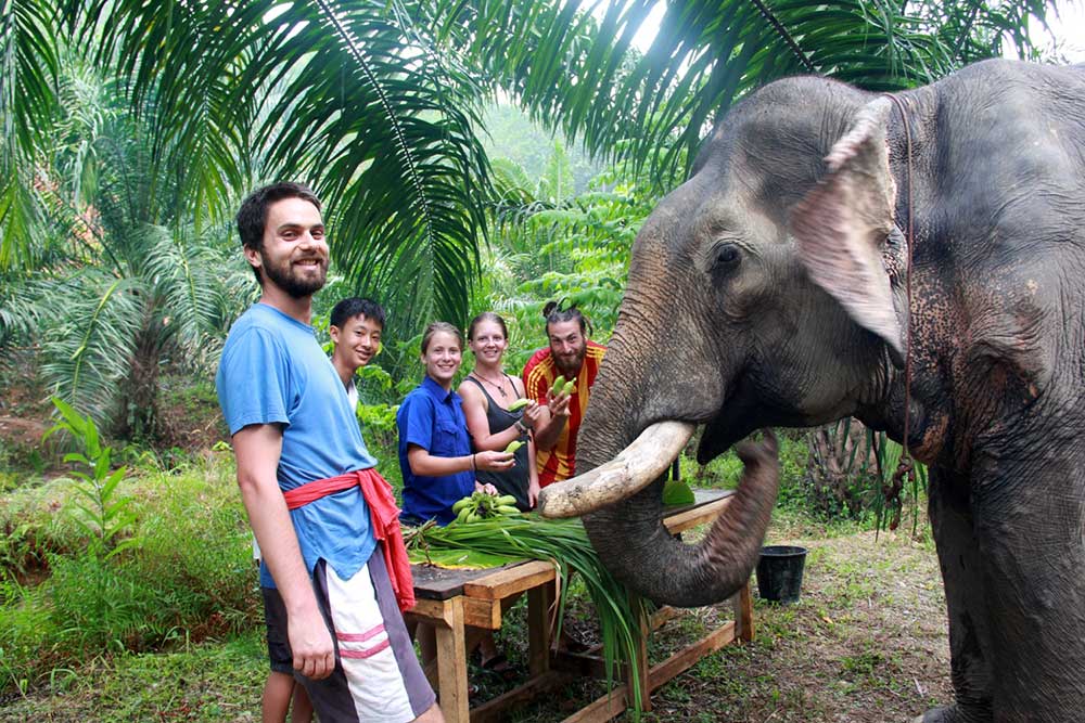 Khao Sok Thailand Elephant Sanctuary