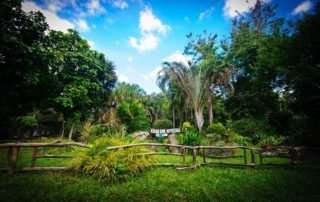 Three day Khao Sok package delight
