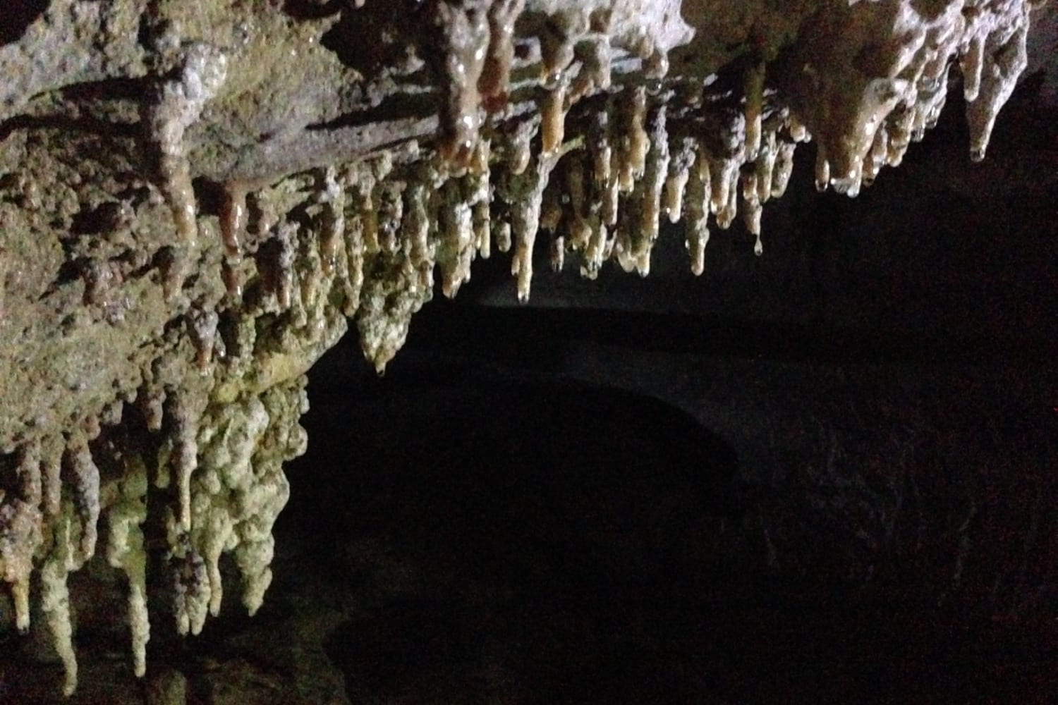 Soda straw stalactite formations - Khoa Sok park