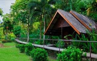 Khao Sok accommodation