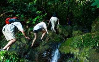 Hikes in Khao Sok National Park