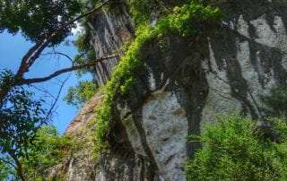 Khao Sok nature trail cliff face