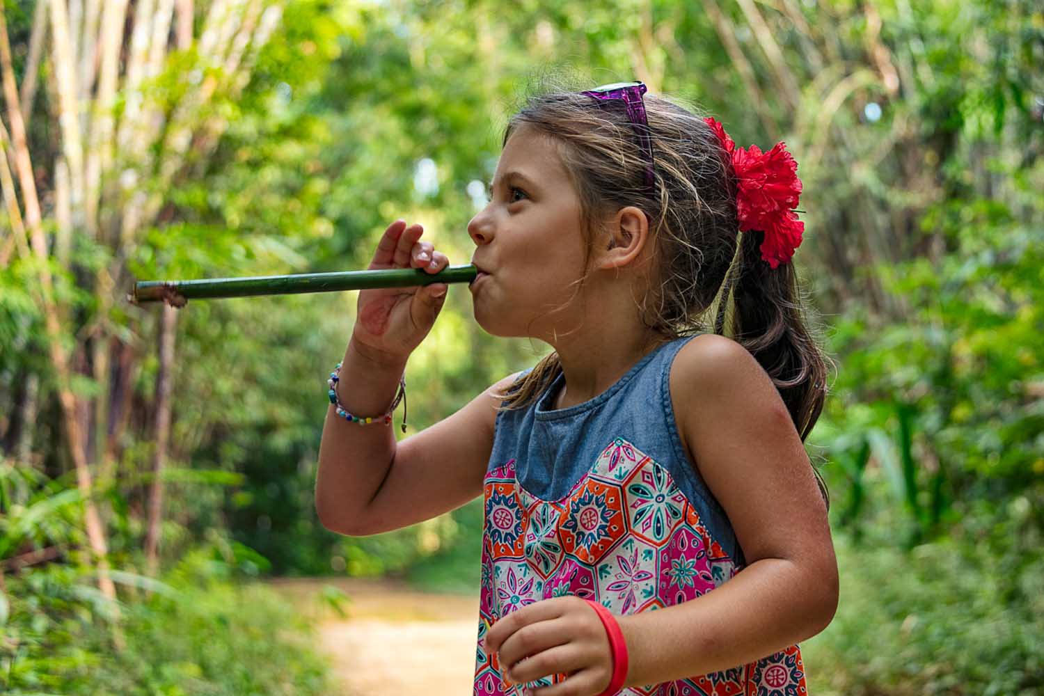 khao sok family tour
