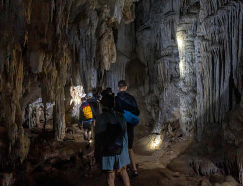 Khao Sok Cave – Tam Gaew – Exploring the crystal chamber