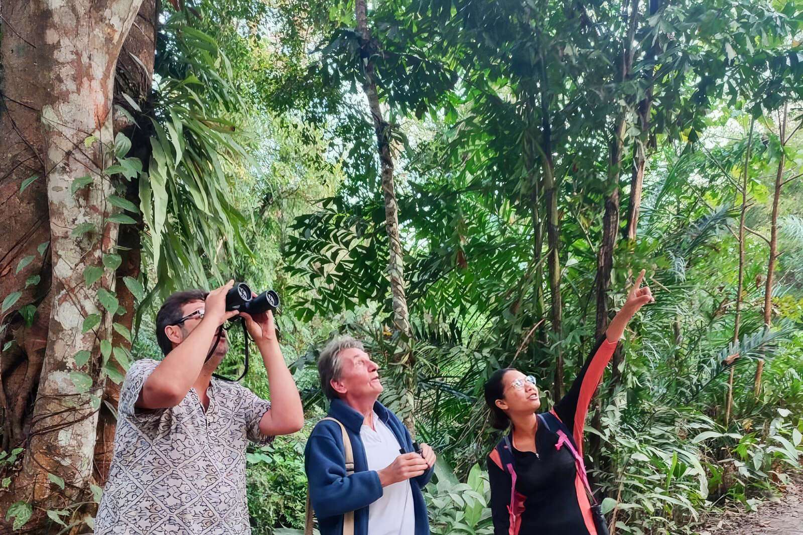 Khao Sok bird watching Khao Sok bird watching