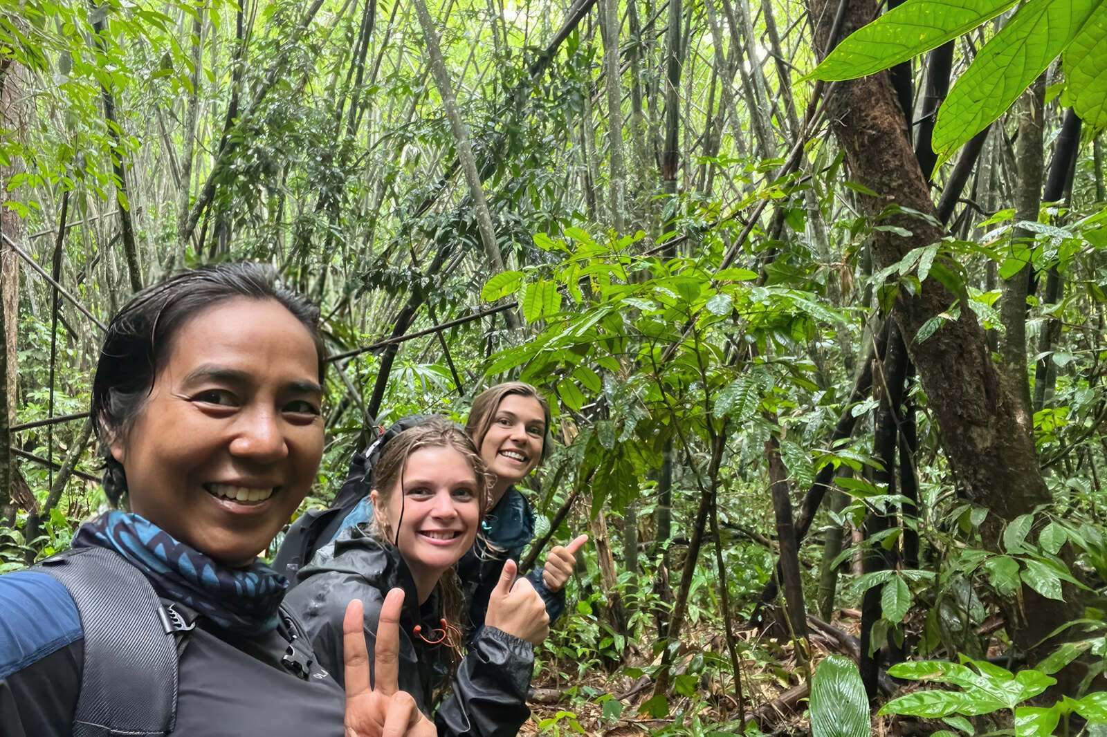Khao Sok jungle trekking Khao Sok jungle trekking