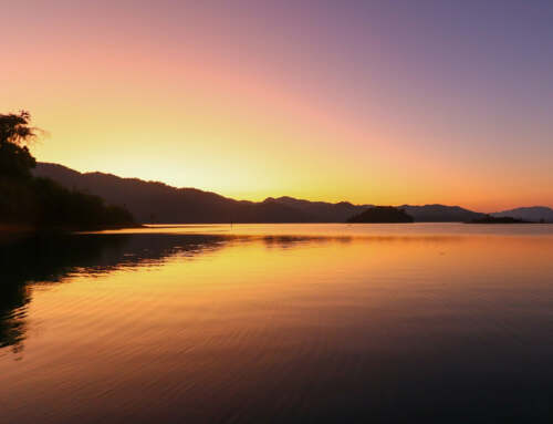 Dive Into Nature: Khao Sok 2-Day Tour