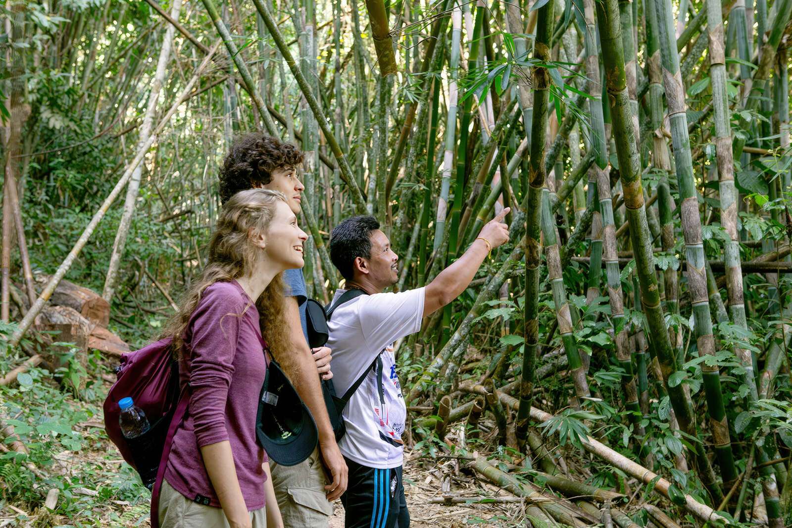 People admiring the bamboo on a Khao Sok jungle hike. People admiring the bamboo on a Khao Sok jungle hike.