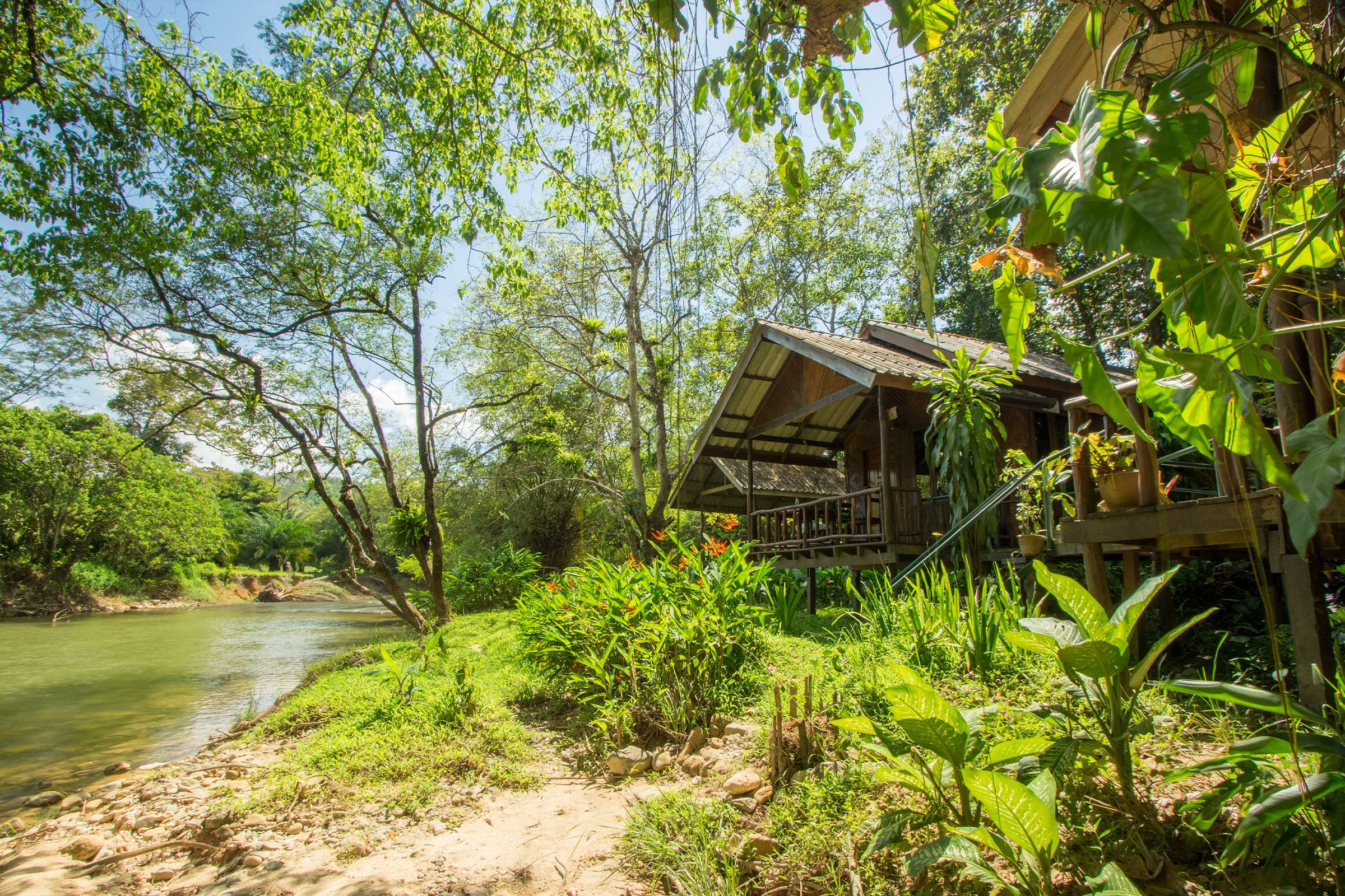 Khao Sok family room