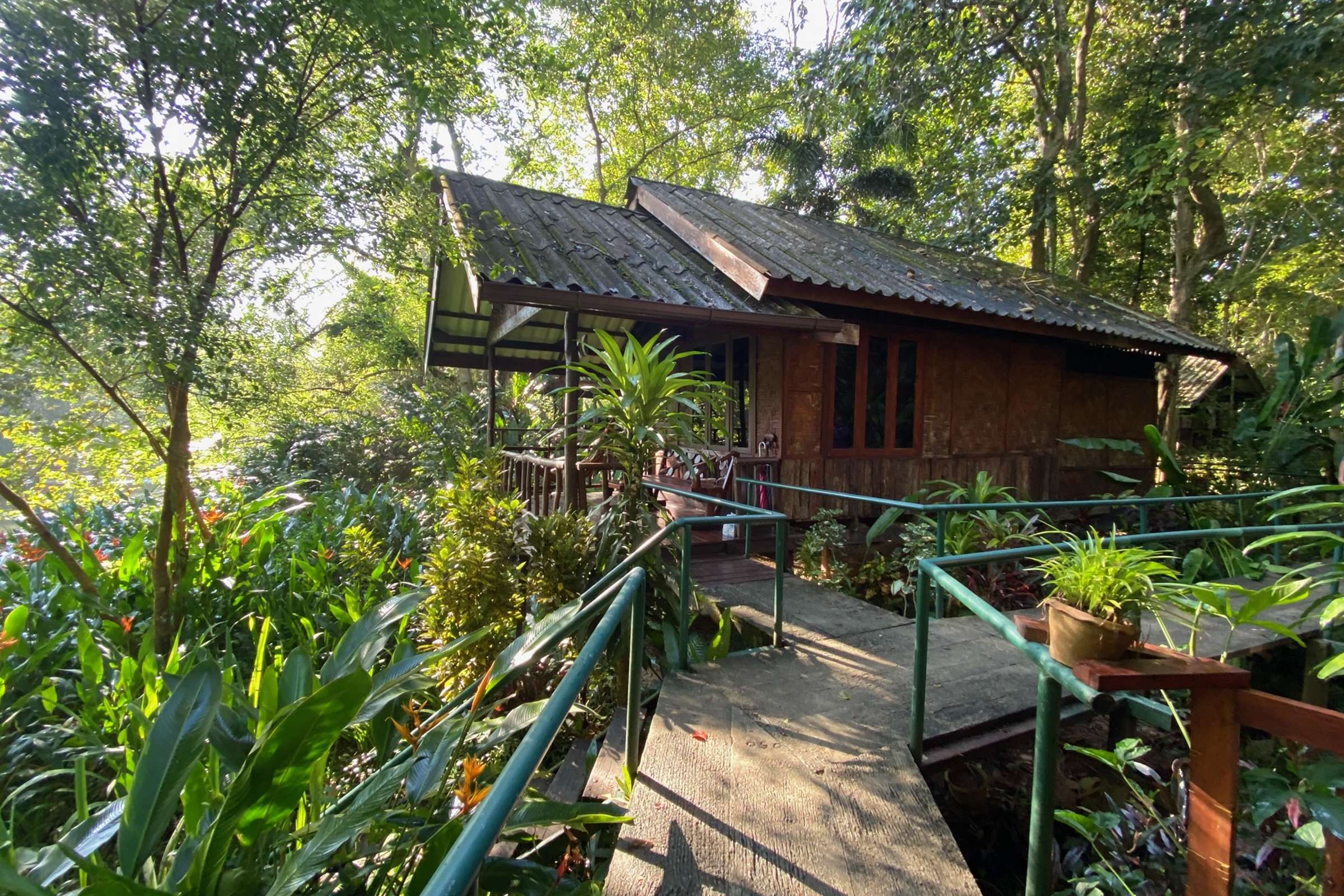 Cottage in the forest