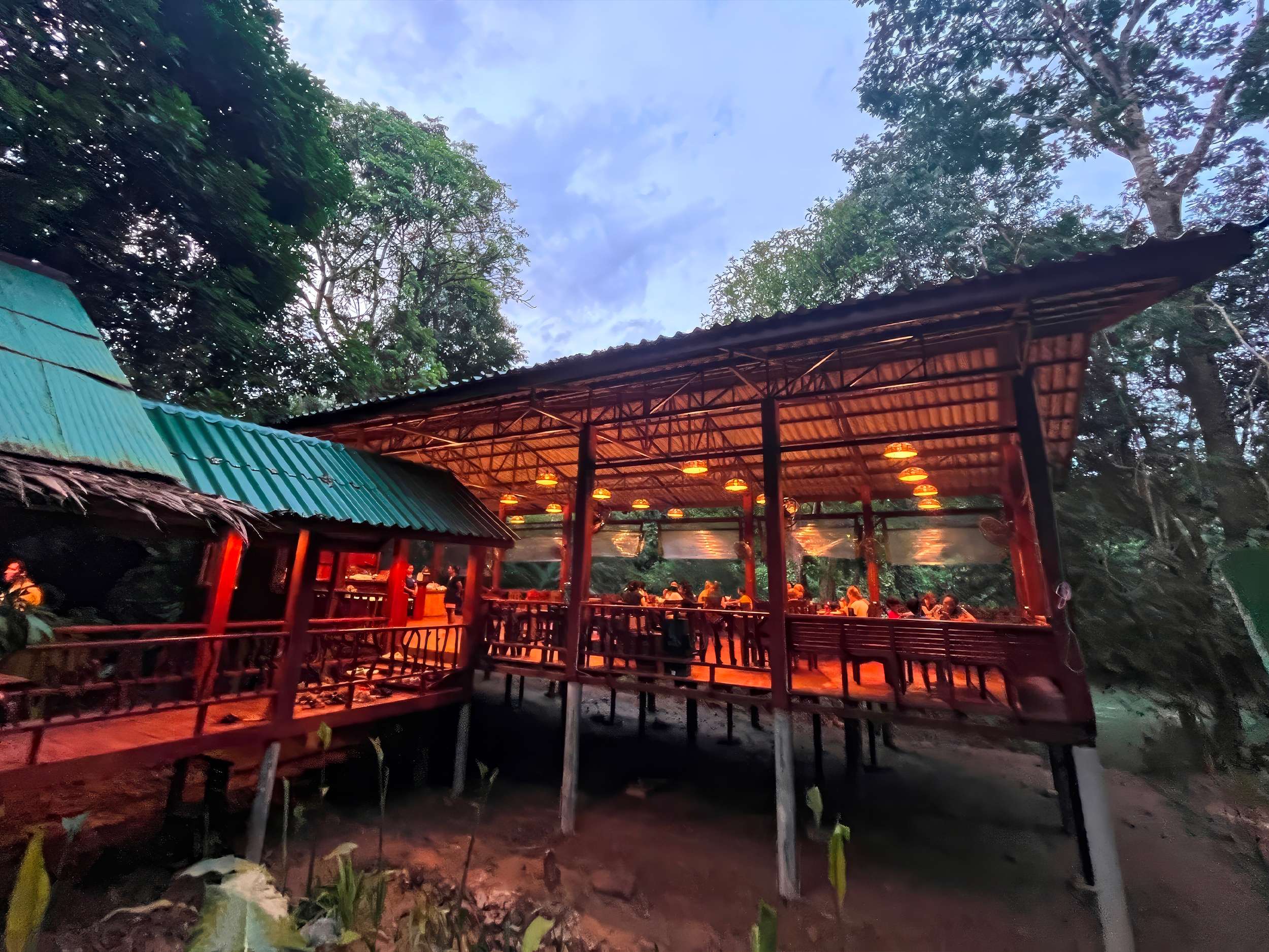The Rafflesia Cafe at night