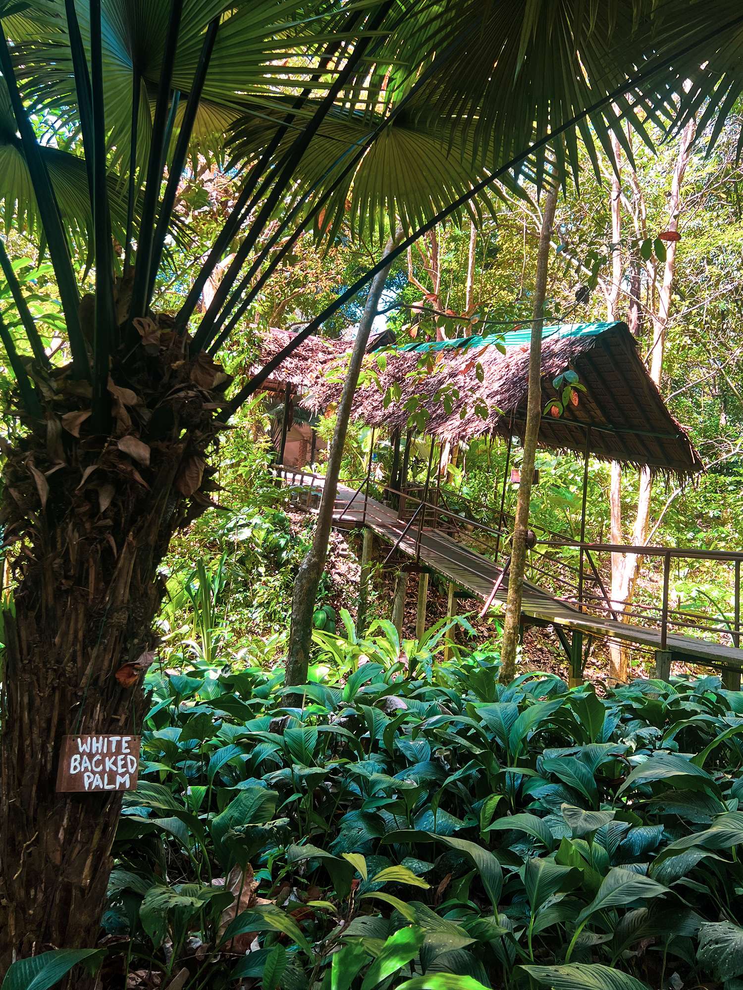Raised walkways protect the eco system