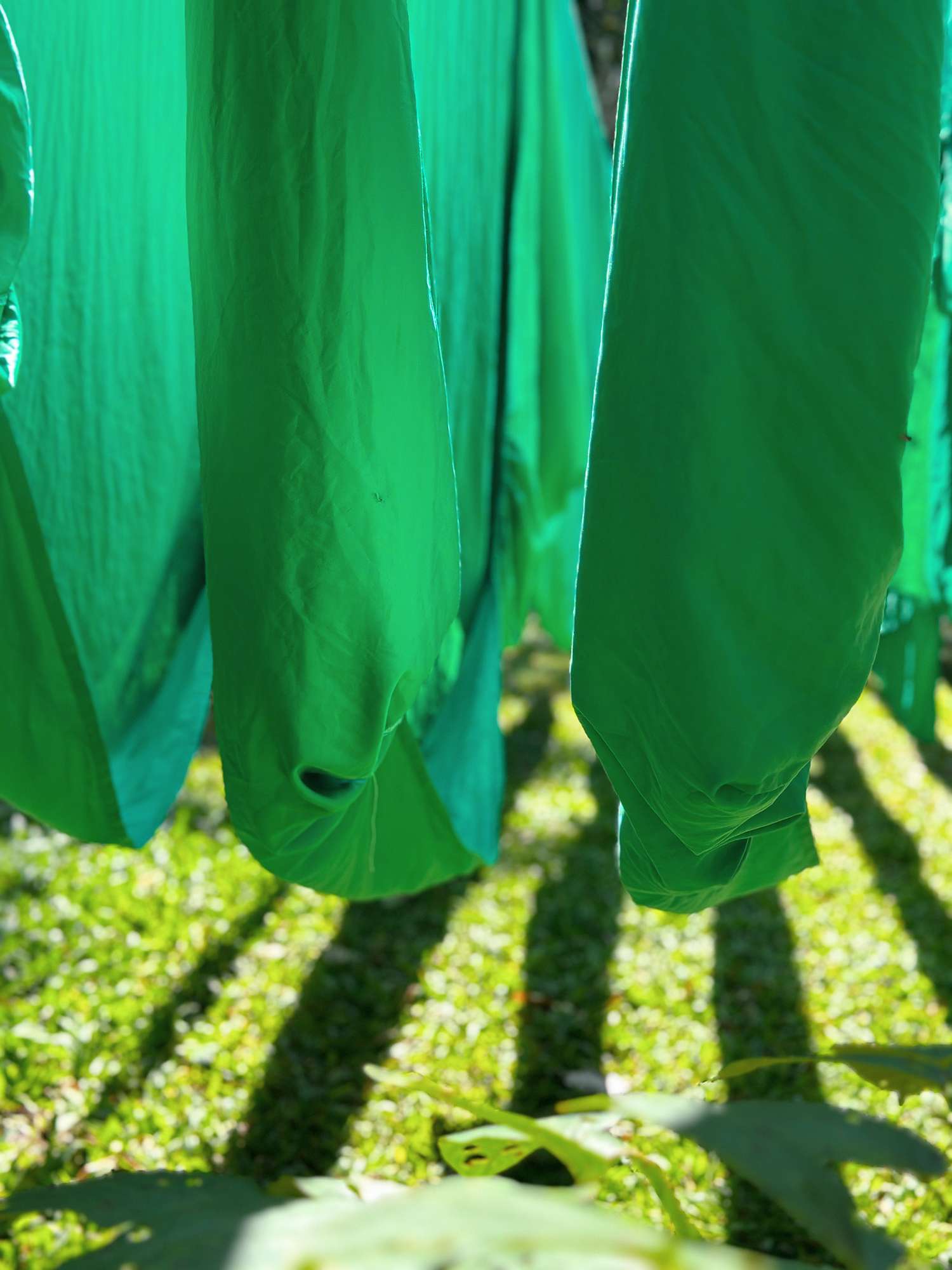 Sun dried bedding