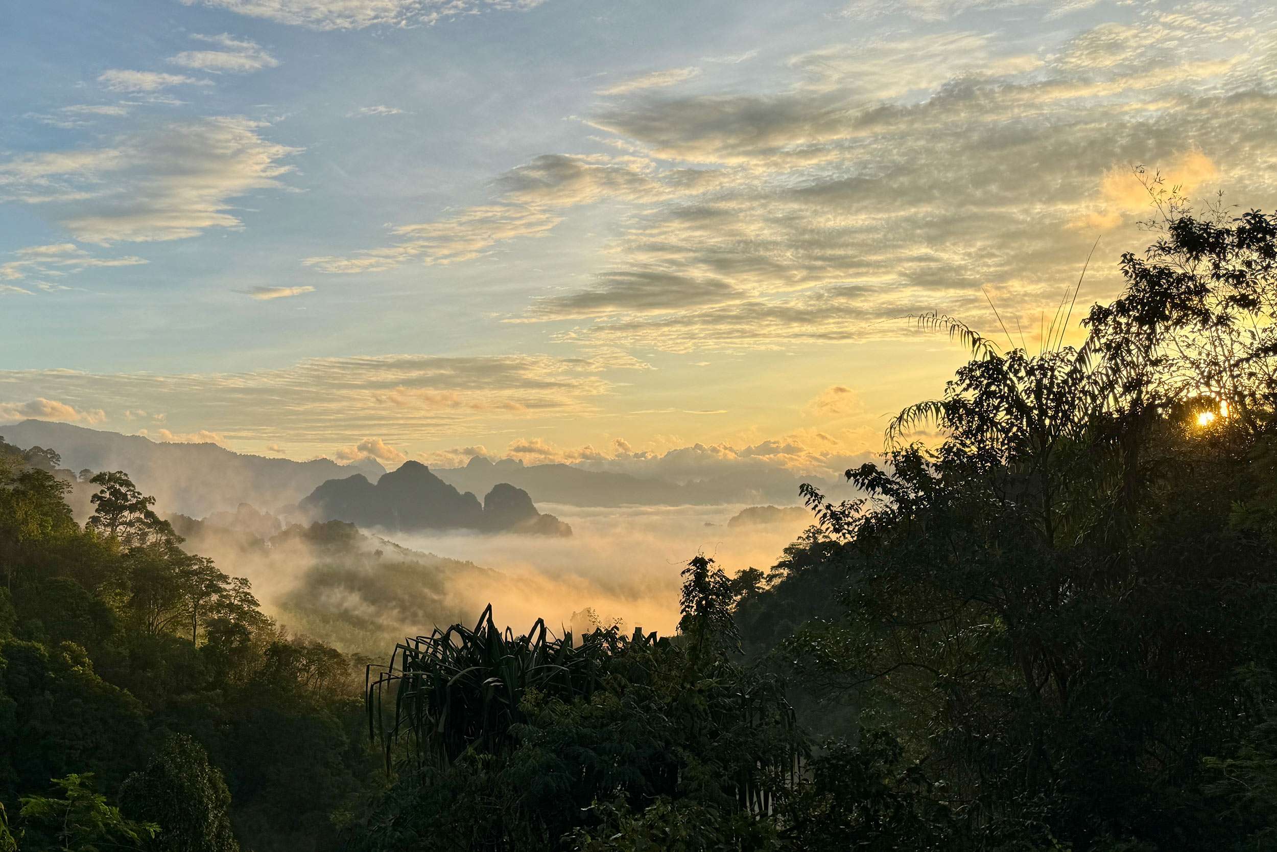 The mist covered mountains of Khao Sok